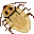Cave Roach portrait