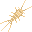 Cave Silverfish portrait