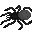 Crevice Spider portrait
