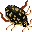 Diving Beetle portrait
