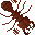 Driver Ant portrait