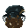 Dung Beetle portrait