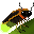 Firefly portrait
