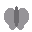 Granite Moth portrait