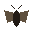 Sphinx Moth portrait